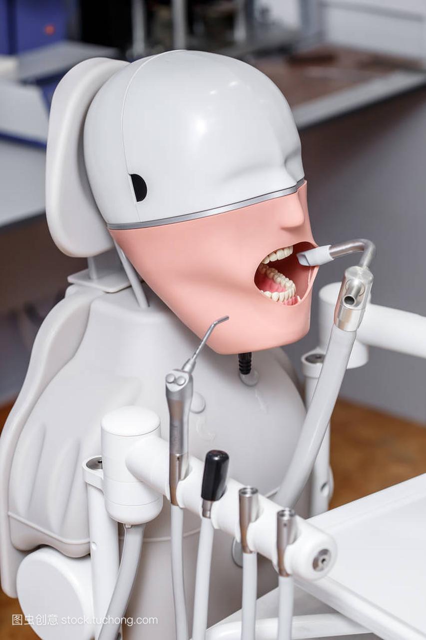 模特或假人的牙医学生培训医科学校和大学的牙