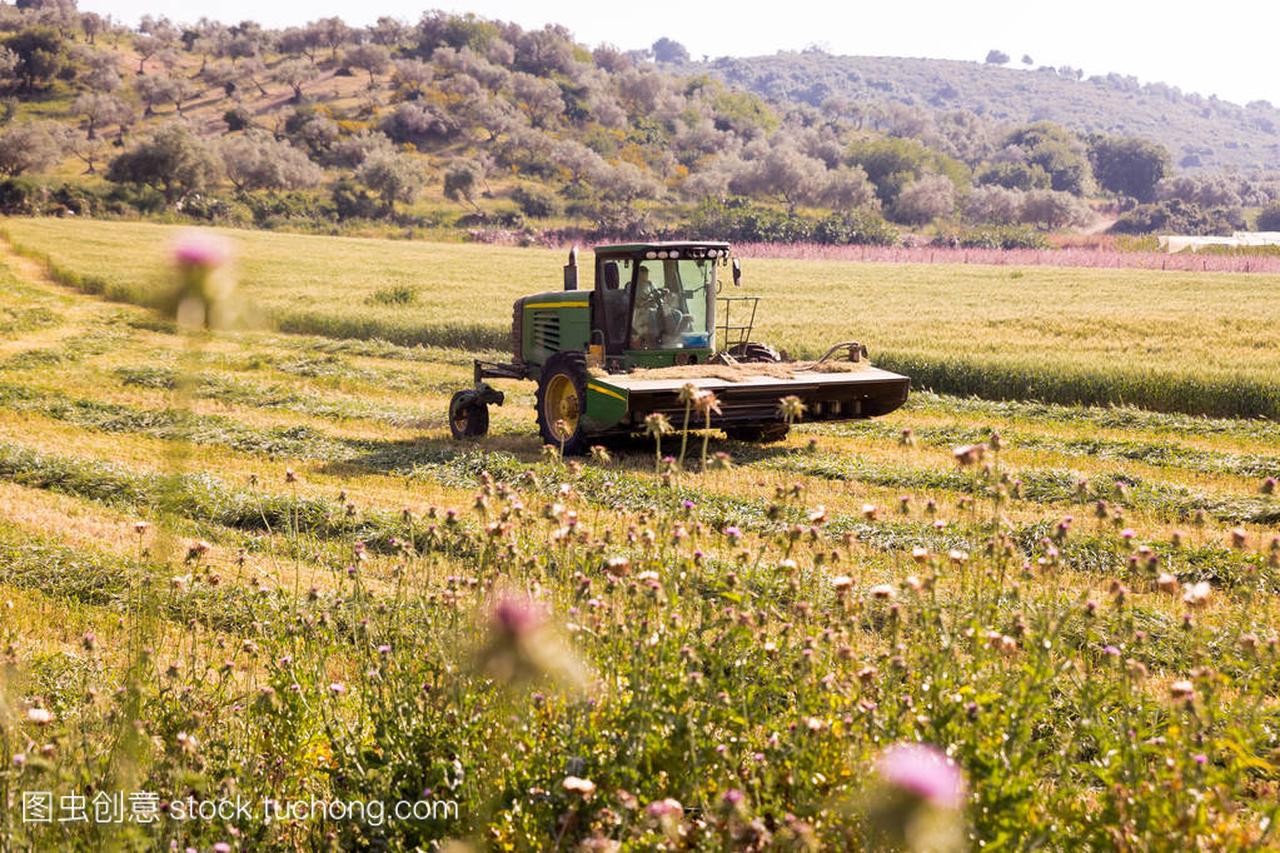 拖拉机车工作农业草田, 春夏收获时间, 以色列
