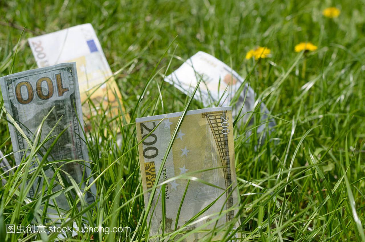 绿草中的美元和欧元面额