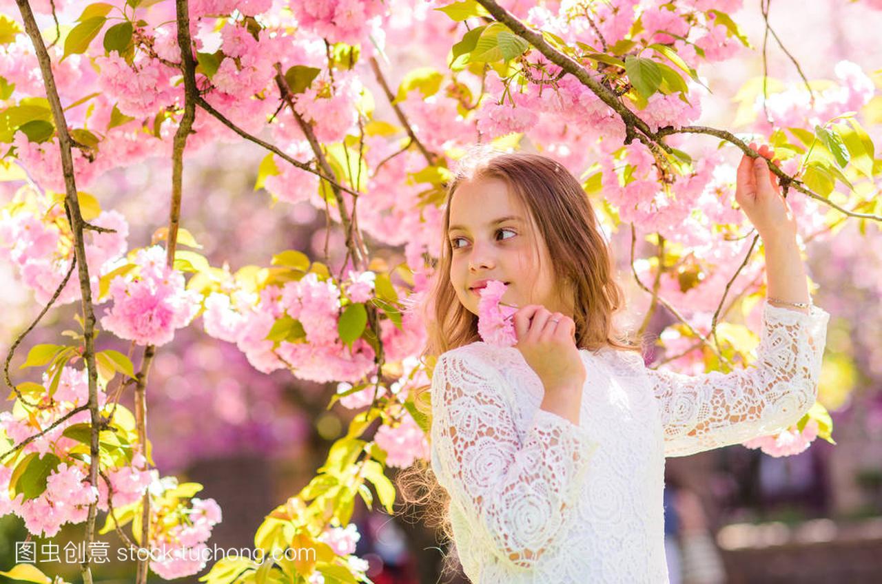 女孩在微笑的脸上站在樱花花丛旁, 弥散。和平