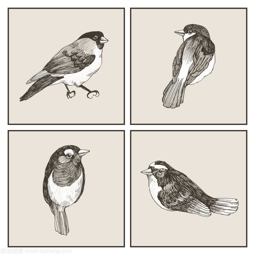 矢量图形集的手绘鸟类的灰色背景。墨迹