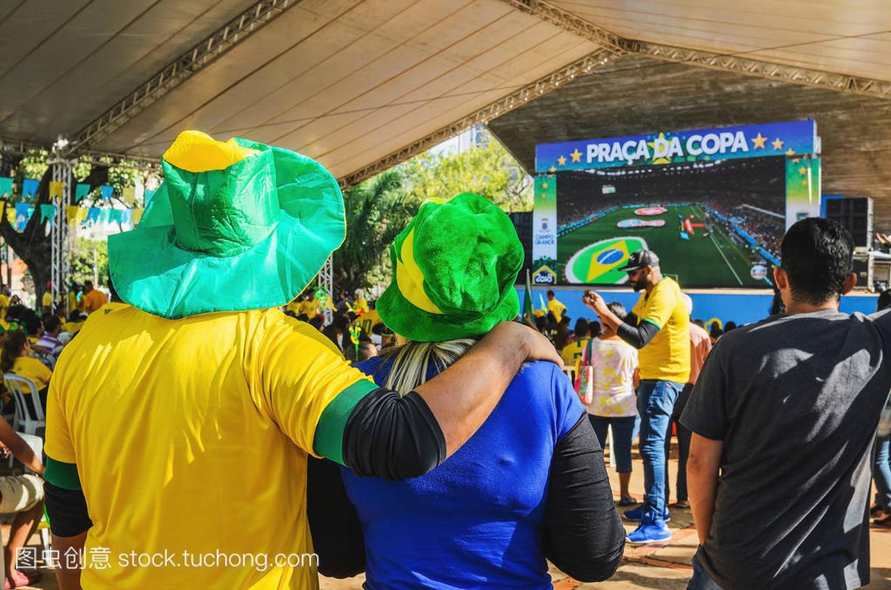 巴西大草原-2018年6月17日: 身穿绿色和黄色的