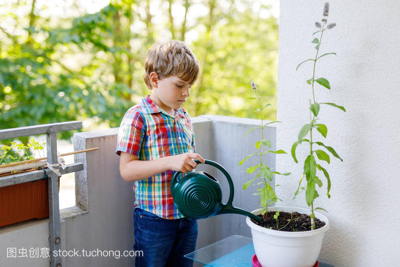 活跃的小学龄前儿童男孩浇水植物用水可以在家
