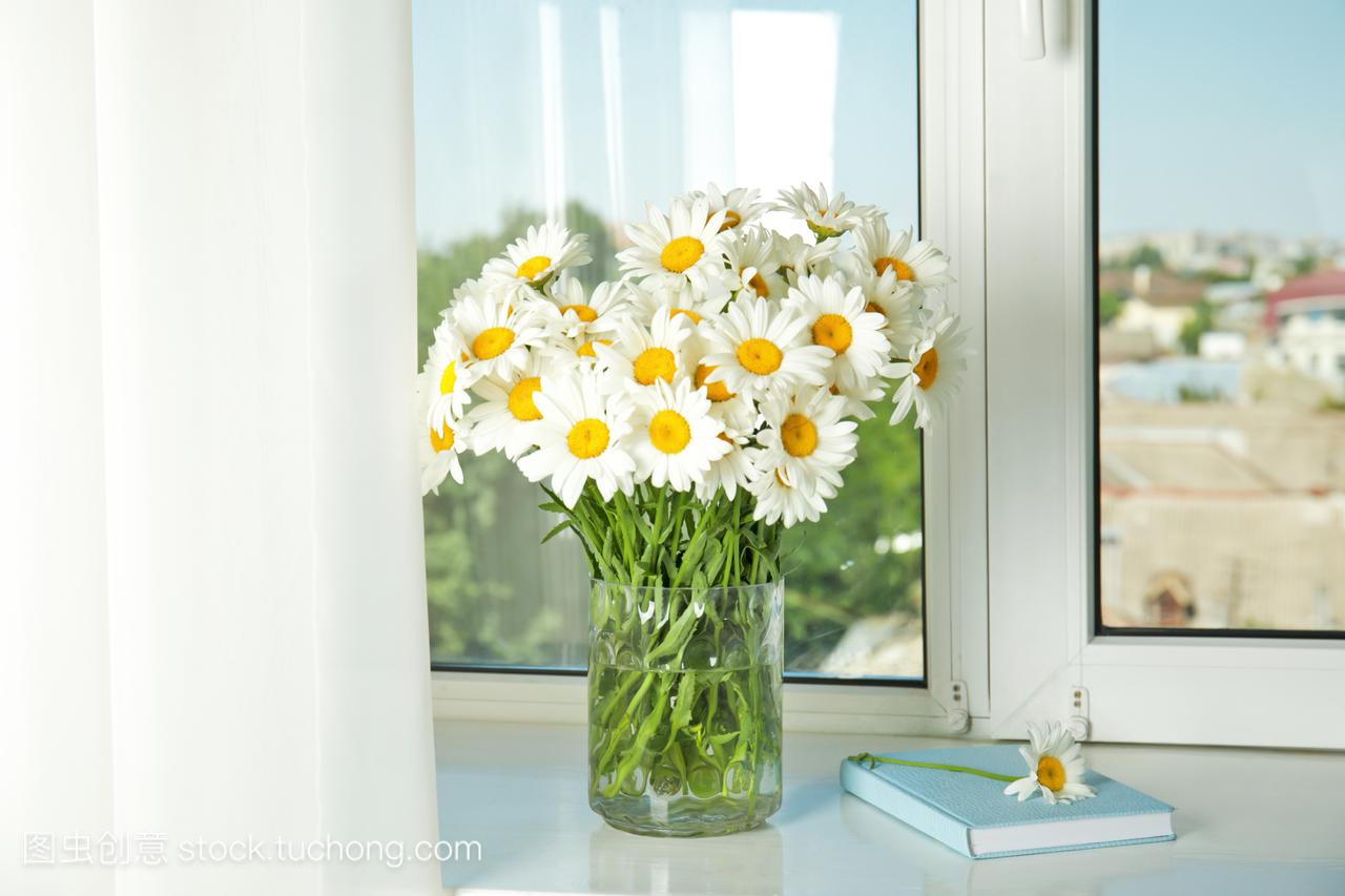 beautiful chamomile flowers on windowsill