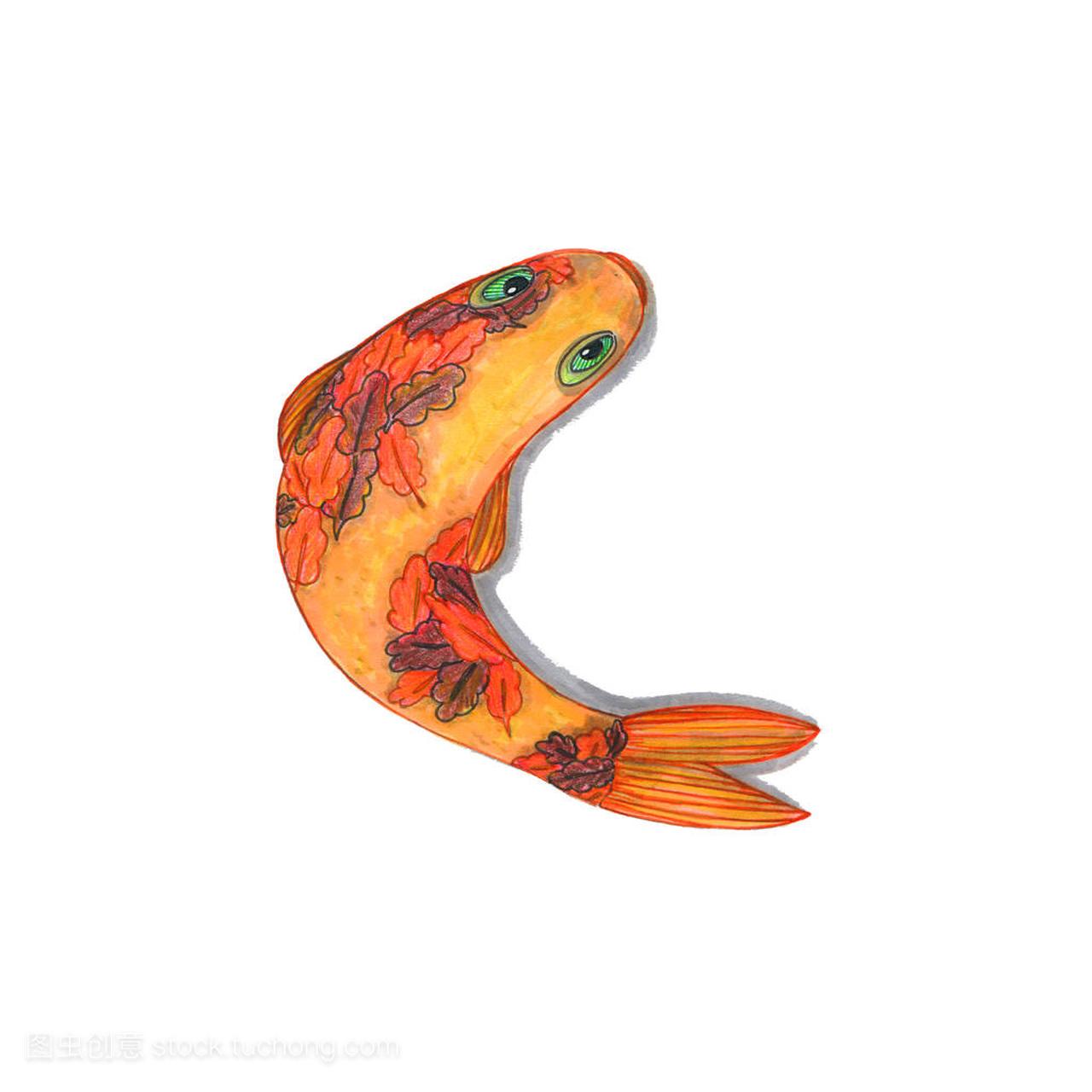 Hand drawn illustration of Koi Carp fish on white