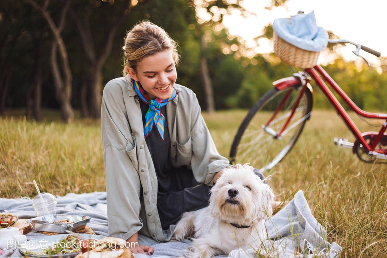 ute little dog happily spending time on picnic in 