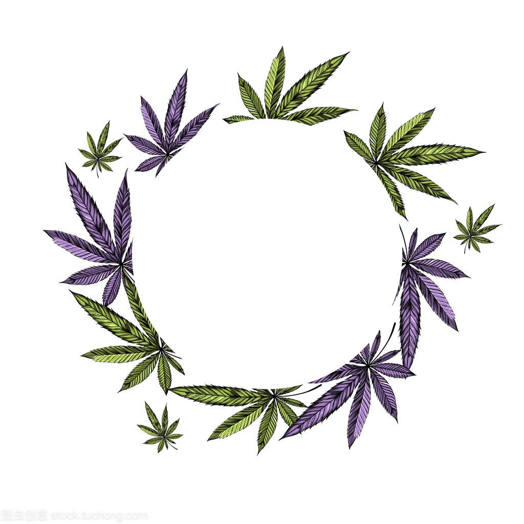 Marijuana frame, cultivation and culture of cann