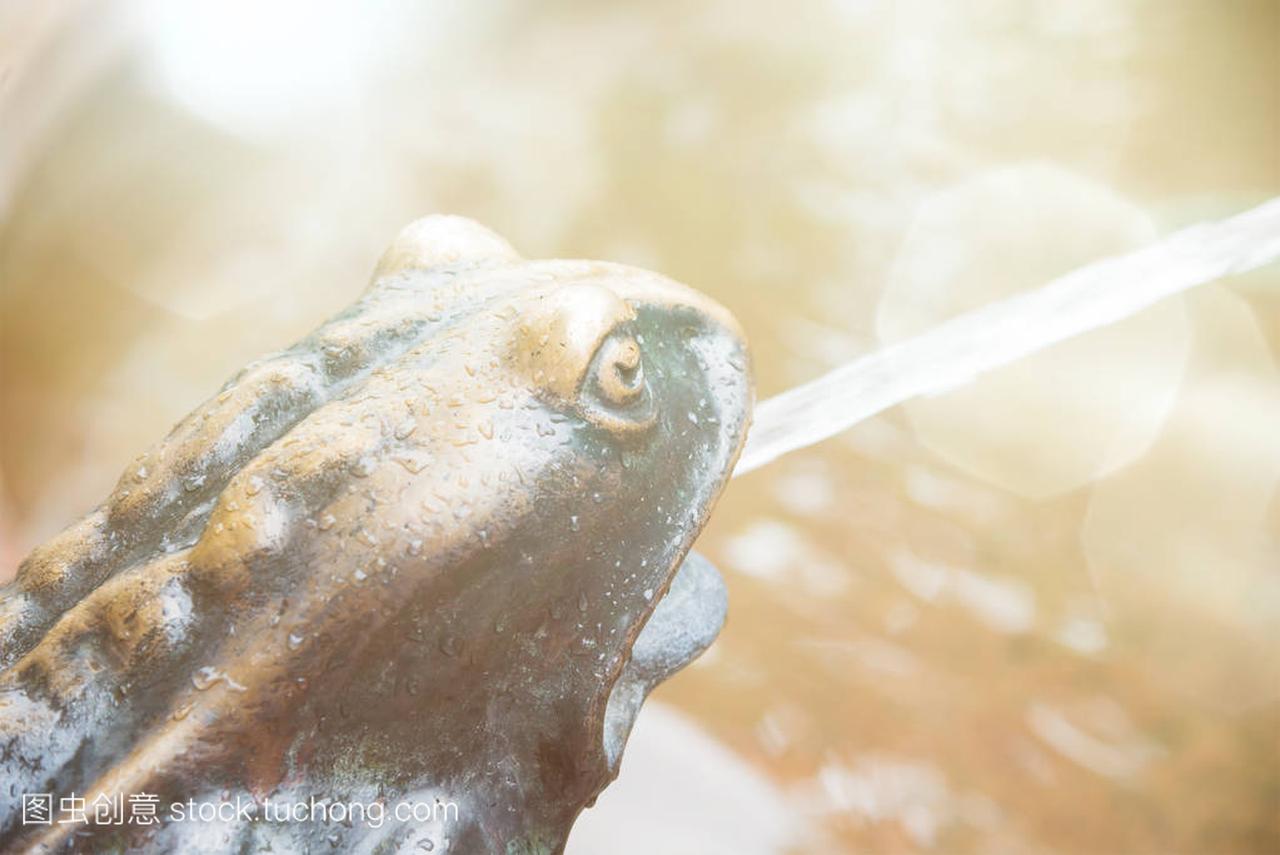 Spitting bronze toad with lens flare