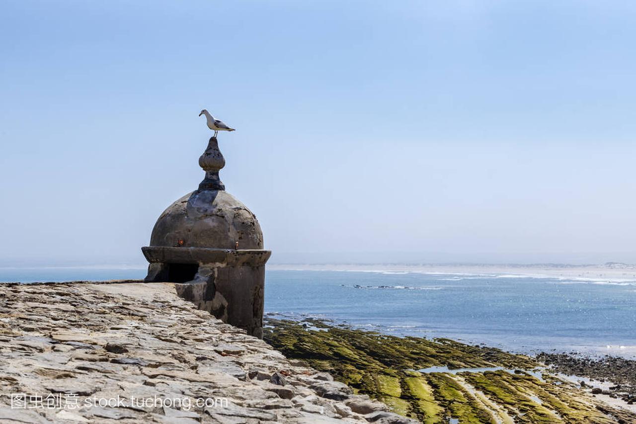 Peniche, Portugal - Seagull resting on a small t