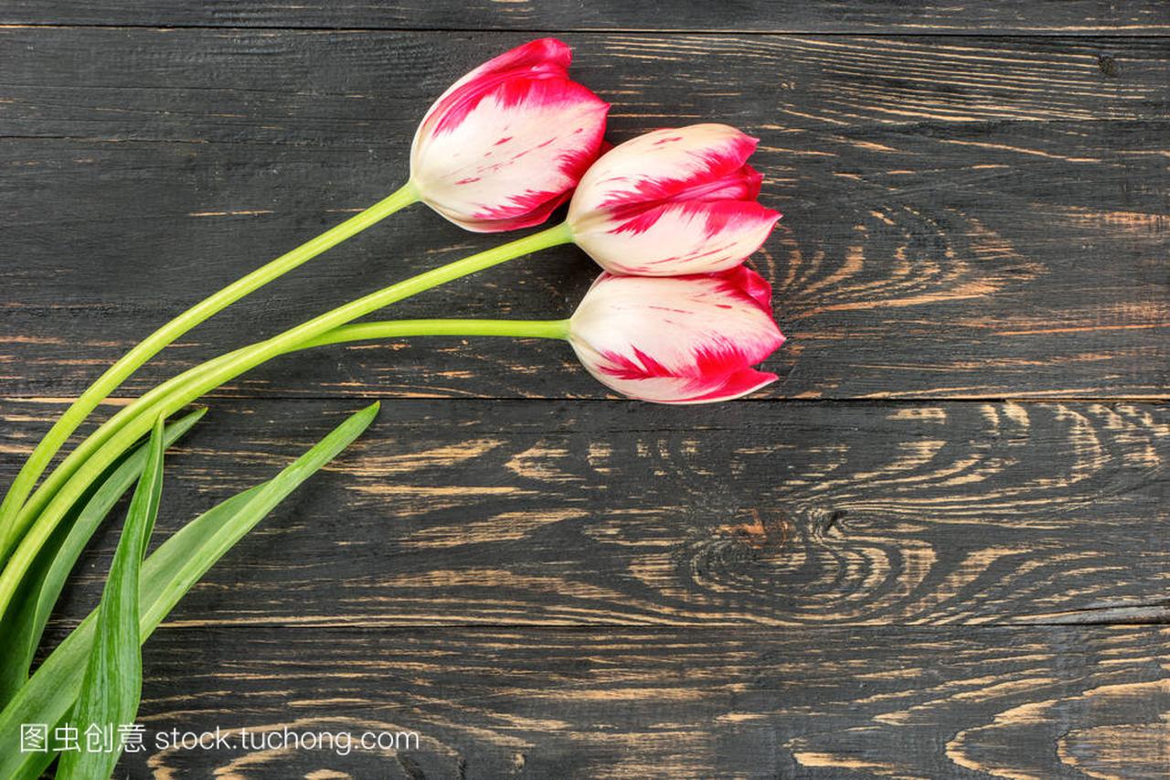 Three white red tulips on an empty wooden bac