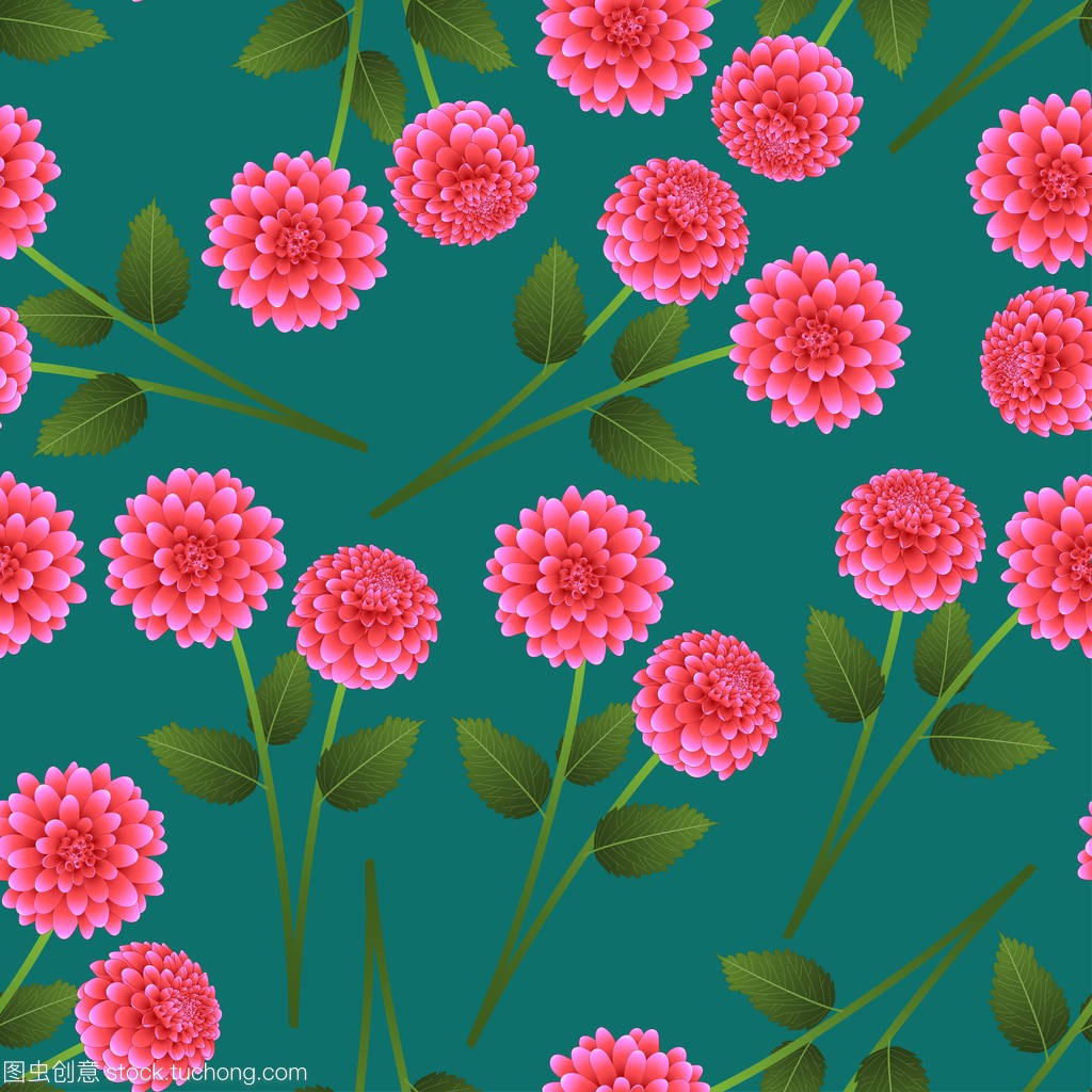 Pink Dahlia on Green Teal Background. Mexico