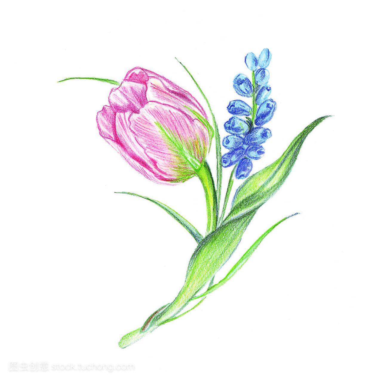Illustration of colored bunches of flowers in the c