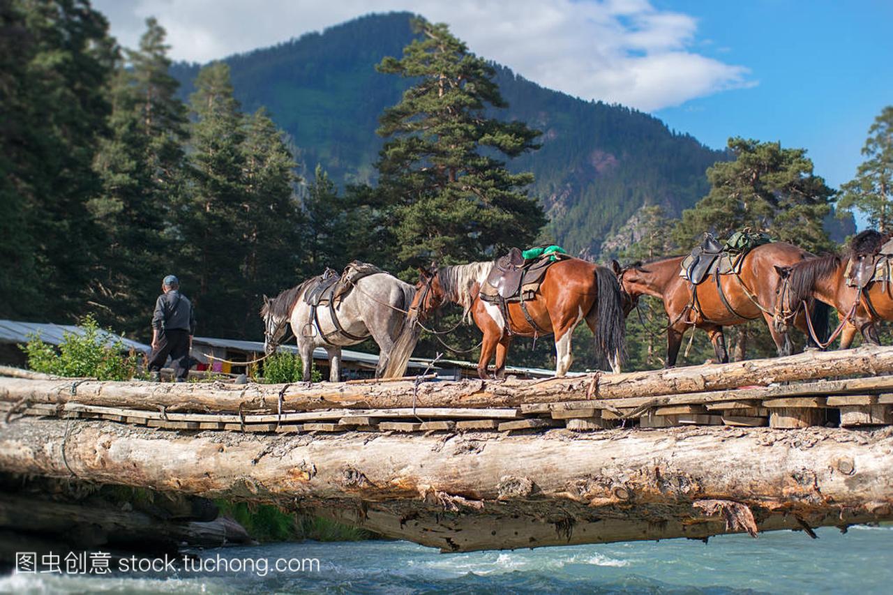 crossing the horses on logs over the rapid flow