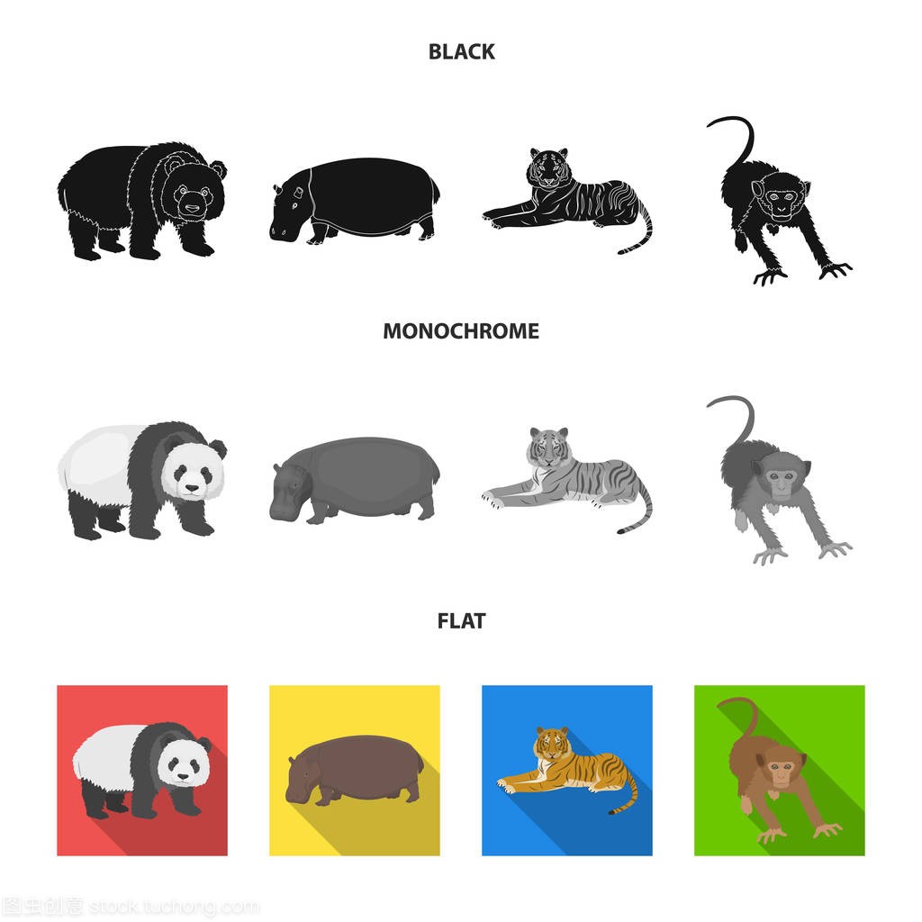 Bamboo bear, hippopotamus, wild animal tiger