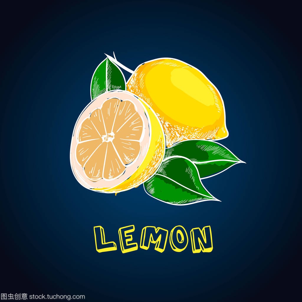 Lemon vector drawing. Summer fruit artistic illustration. Isolated hand drawn whole lemon and slice.