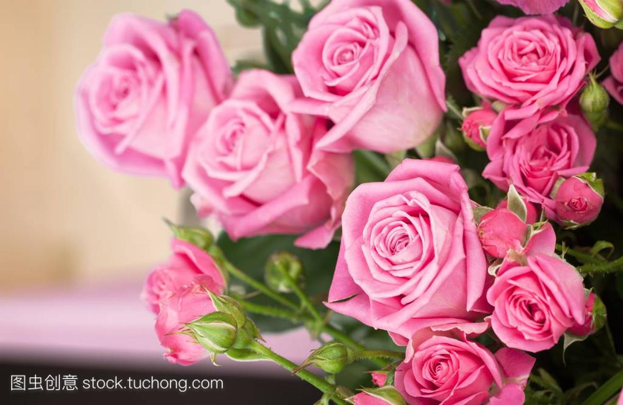 美丽的粉红色玫瑰花背景上