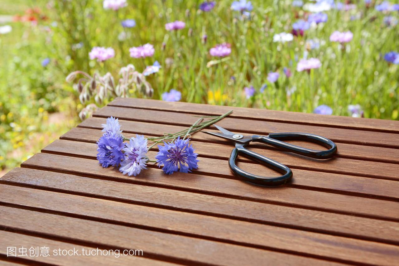 rs with garden scissors on a wooden table, tall 