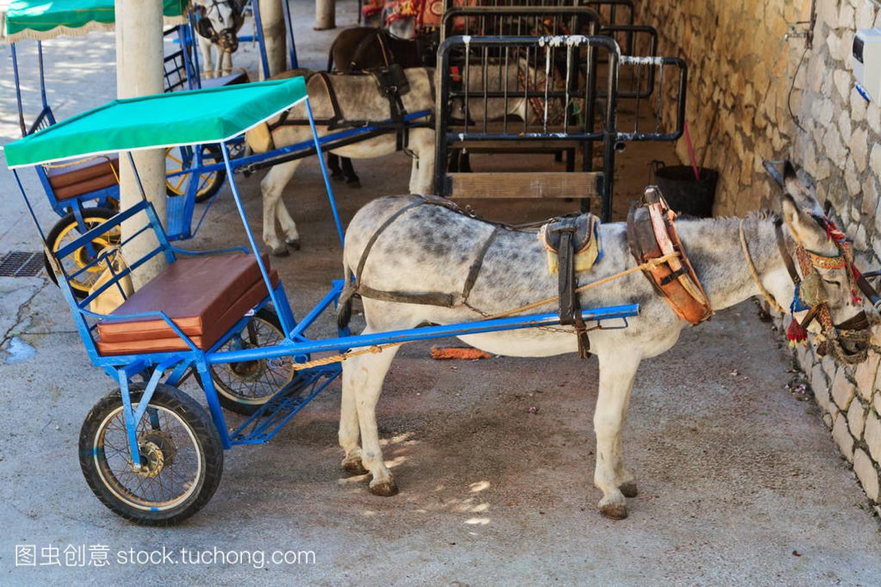 休息驴驾马车米哈斯村子里休息。安大路西亚。