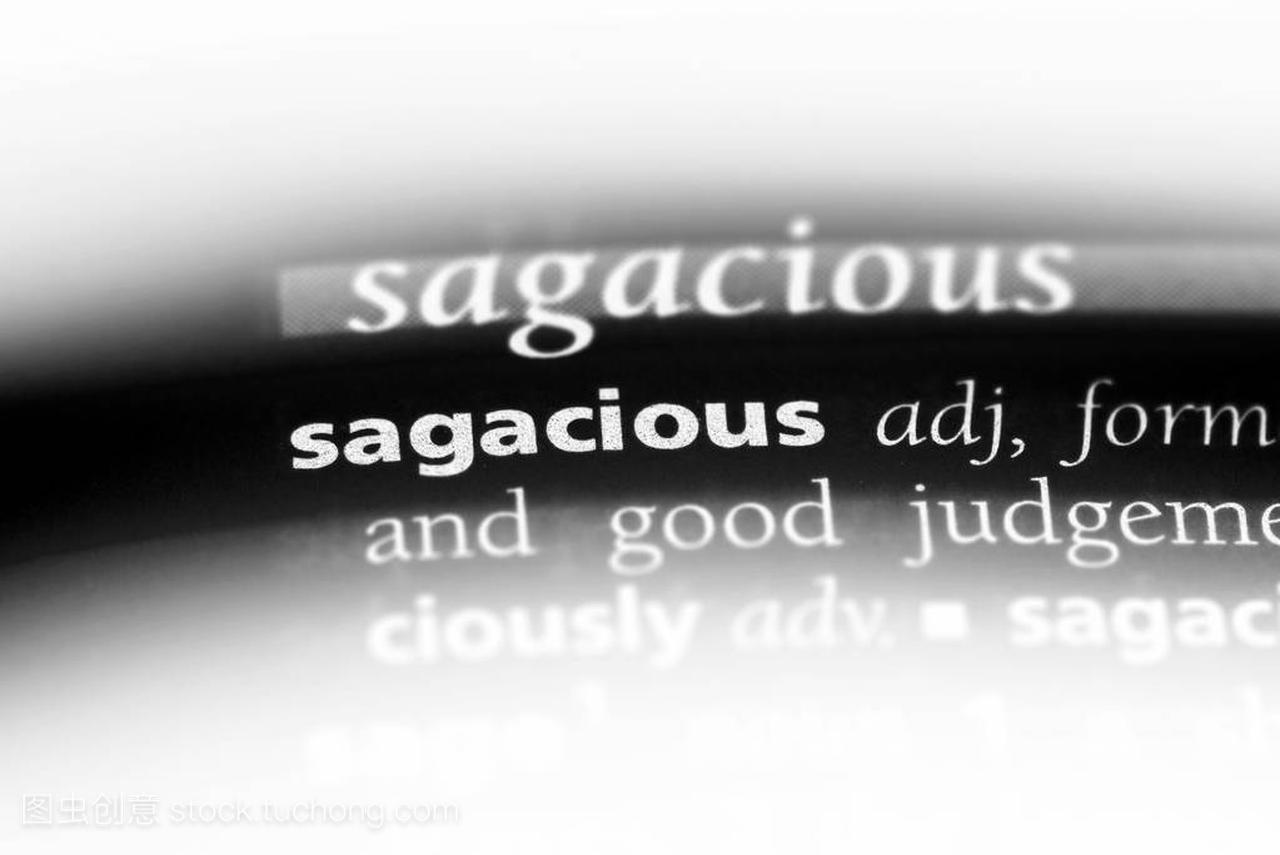 sagacious word in a dictionary. sagacious 