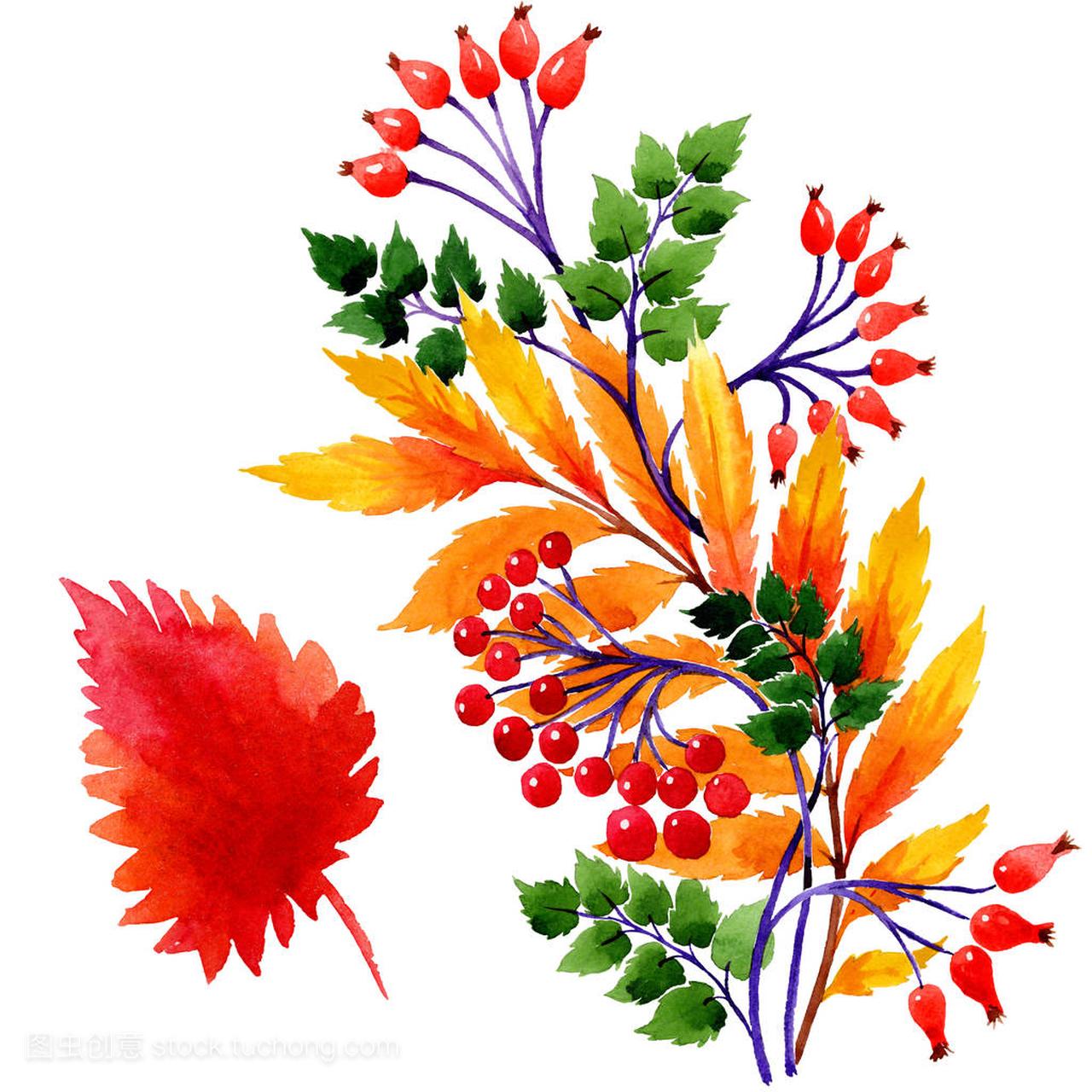 Watercolor autumn ornament of leaves. 