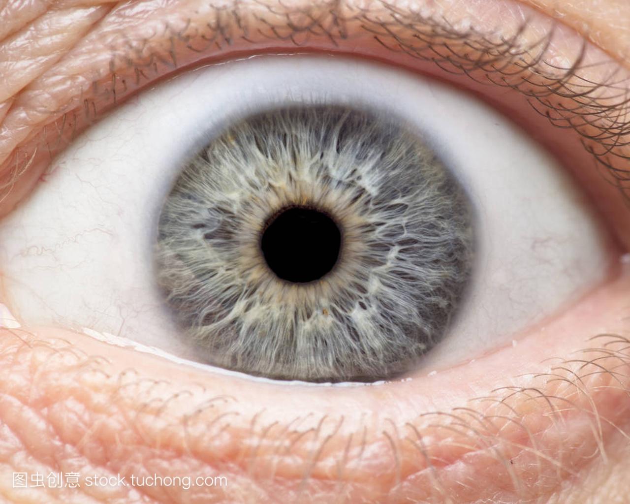 Macro photo of human eye, iris, pupil, eye 