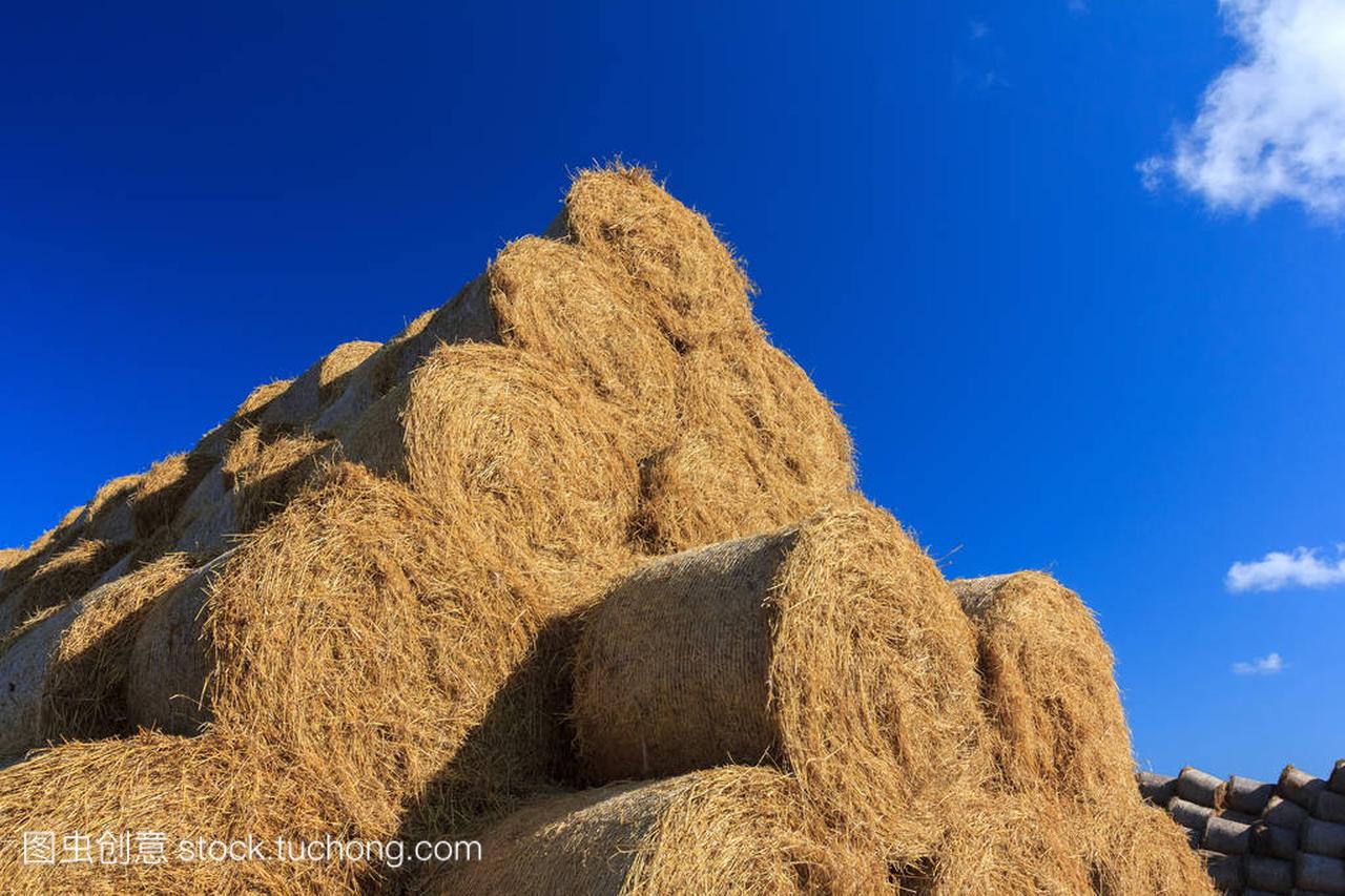 Pile of straw bales