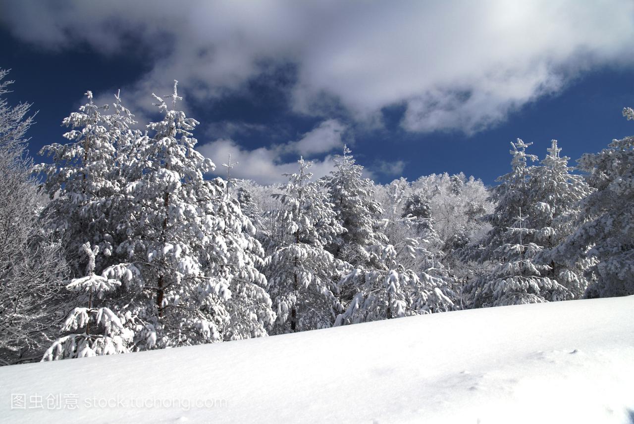 雪,自然,白雪,自然界,雪,风光,风景,假期,冬天,冬