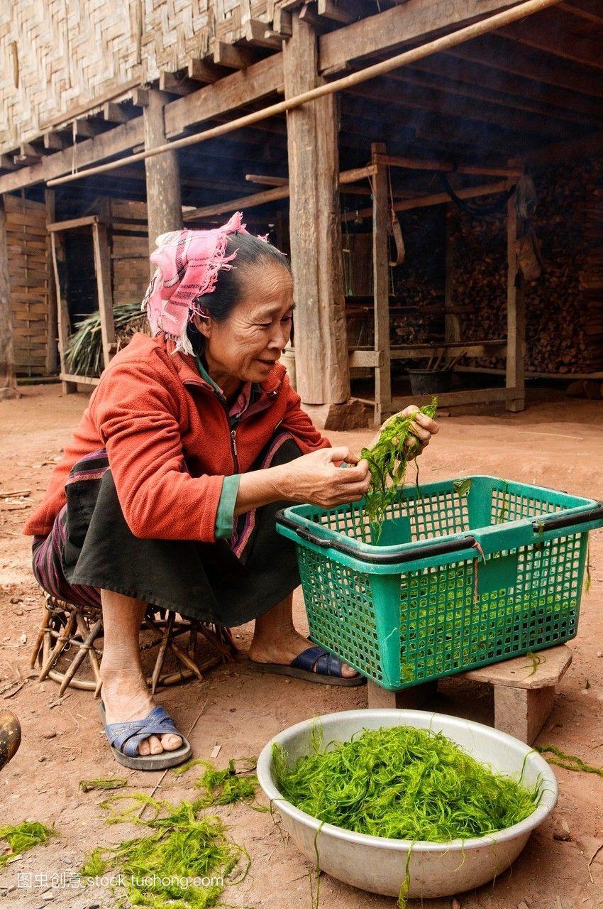 寮国妇女清洗湄公河杂草,老挝的罗昂南塔
