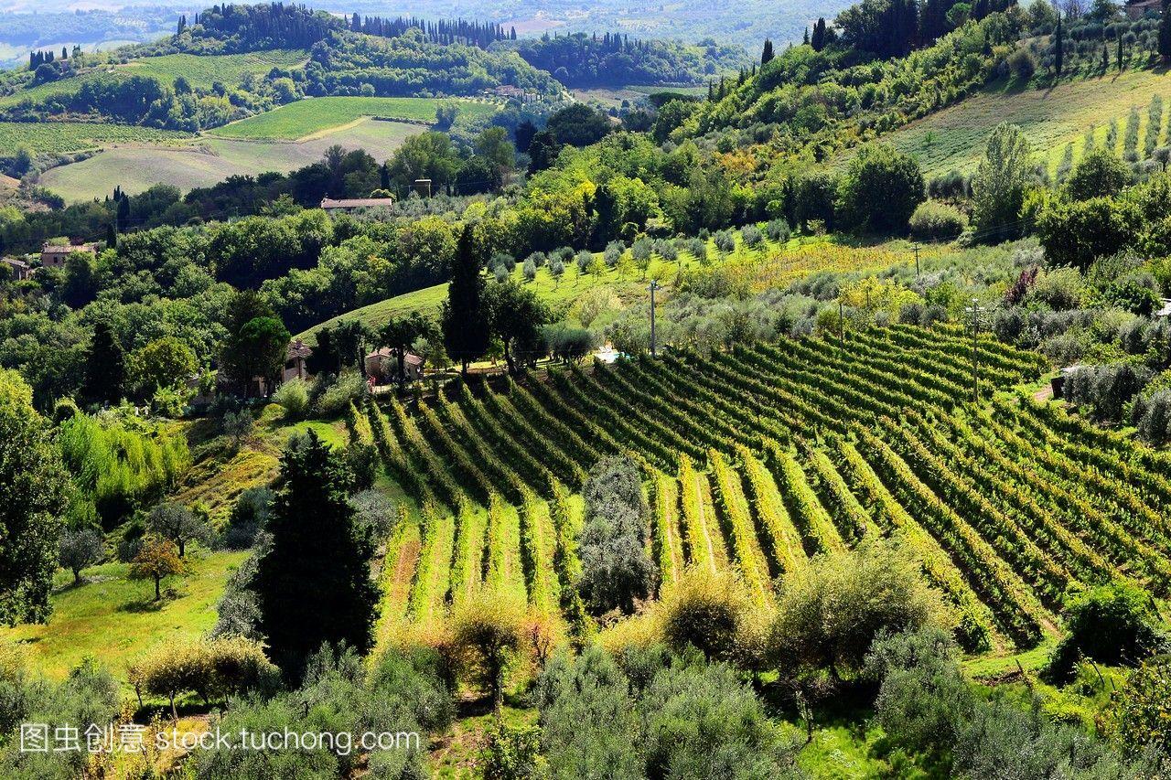 圣吉米尼亚诺葡萄酒产区意大利,欧盟欧洲。