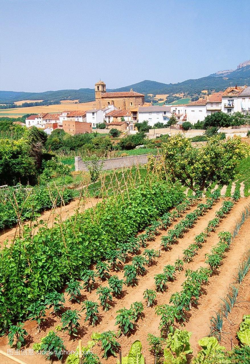 市场花园和村庄概况。genevilla,西班牙,西班牙