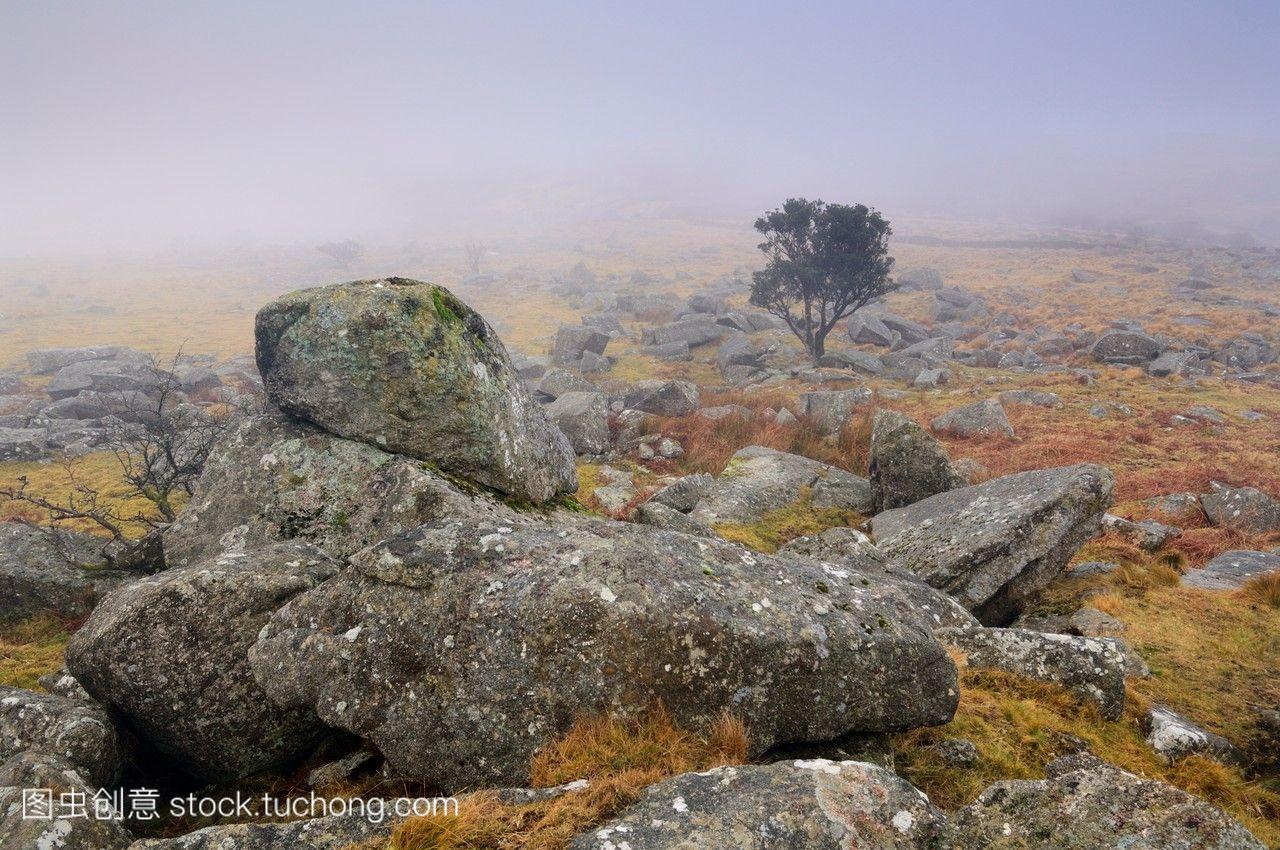 英格兰,雾天,达特姆尔高原,天气,花岗岩,无人,雾