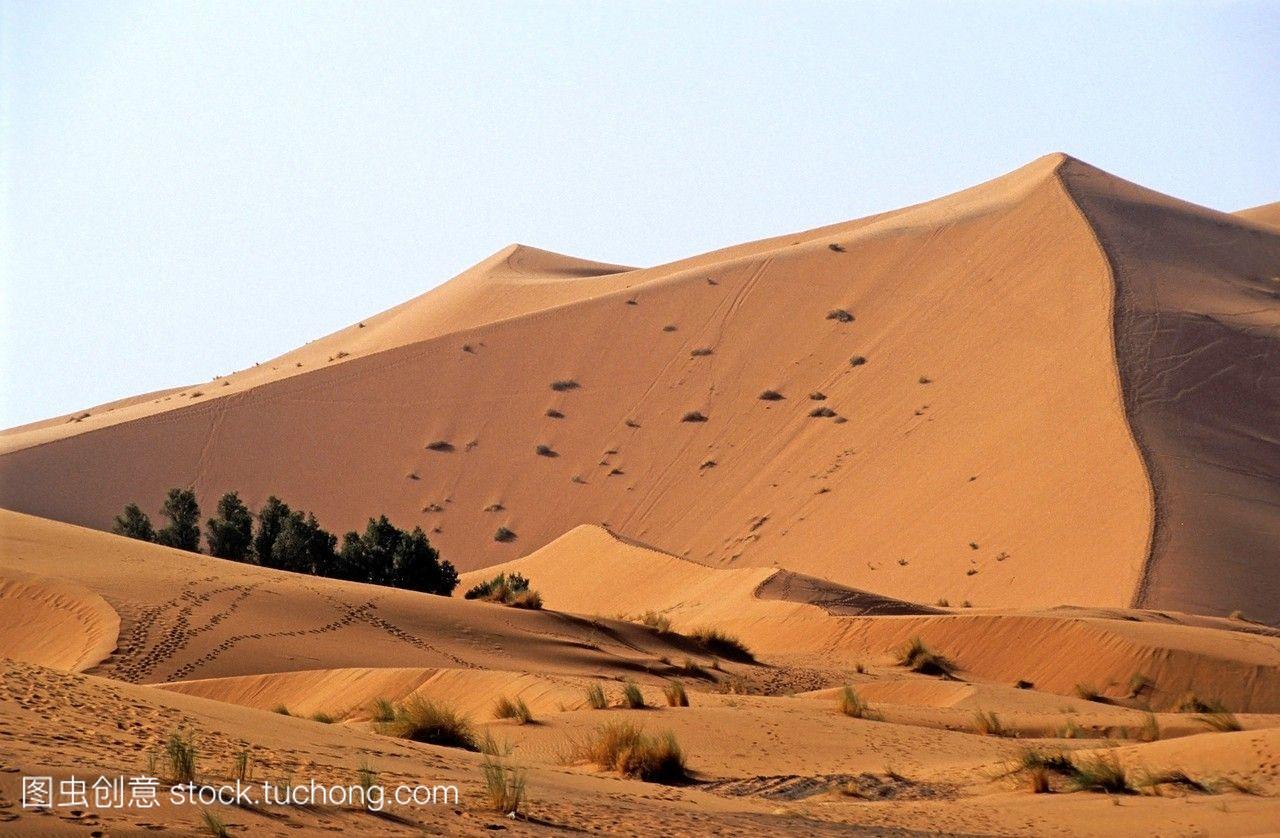 nobody,荒漠,摩洛哥,草,足迹,沙子,天气,旅行,无