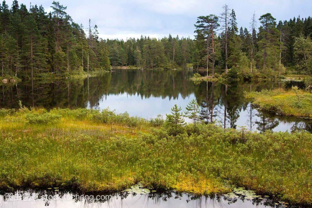 瑞典-芬兰野生动物2
