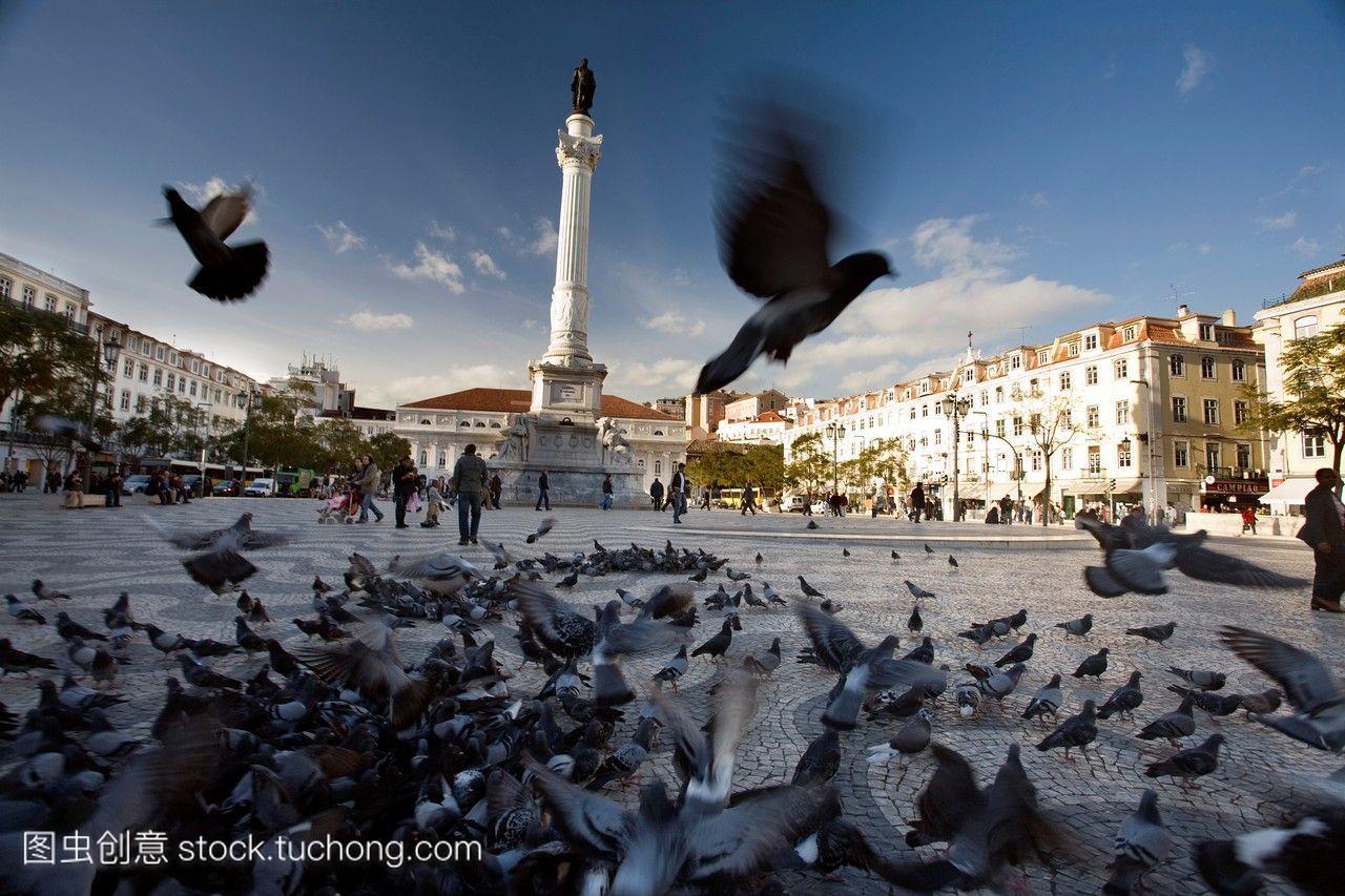 庆祝罗西欧广场群鸽子《里斯本条约》