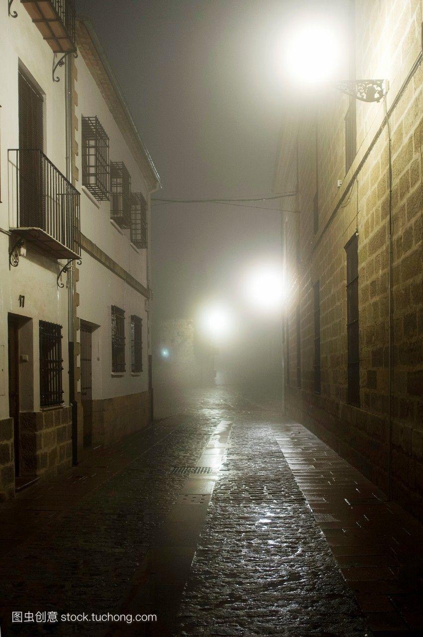 鹅卵石街道夜间雾光和背光不朽的面积也应有所