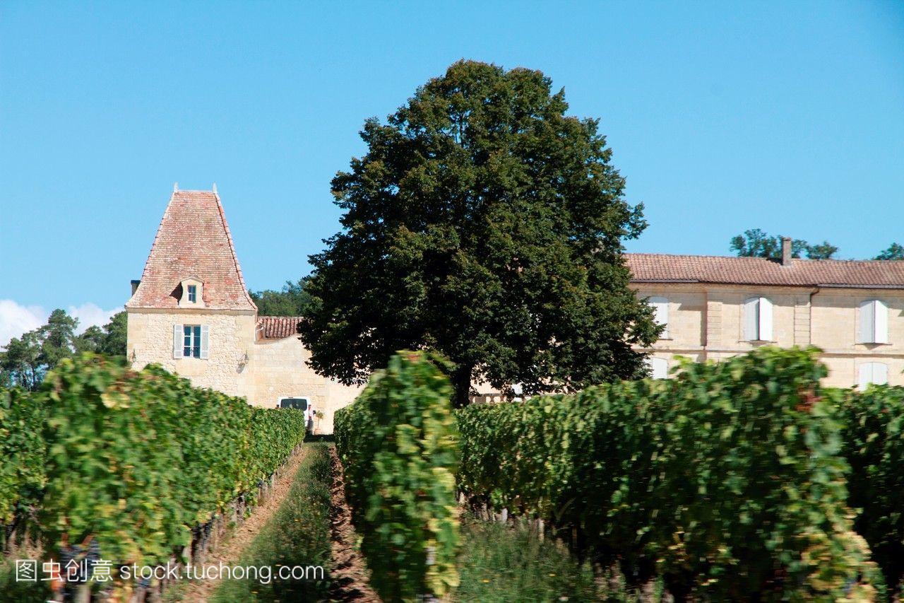 法国著名的波尔多葡萄酒的葡萄园隆葡萄酒酒窖