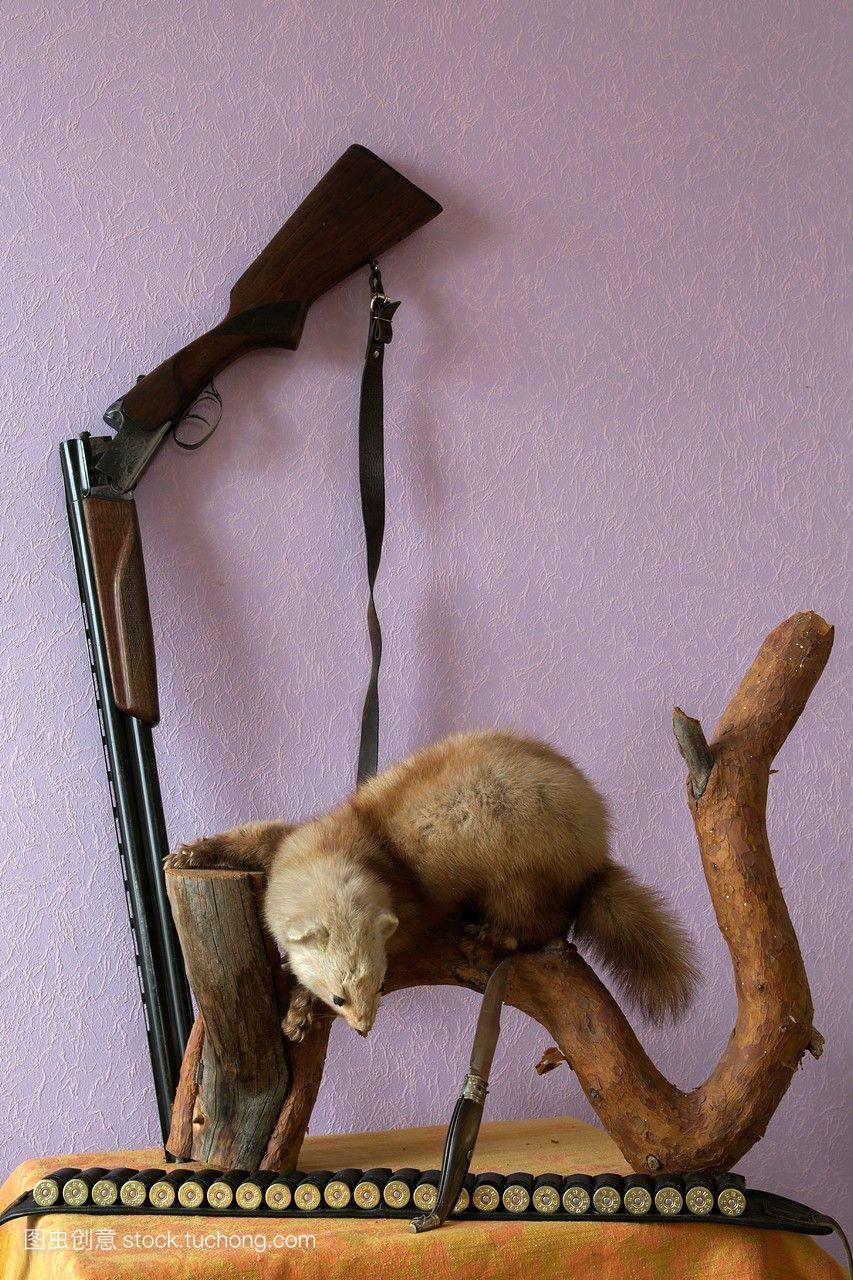 伪渔猎动物marten狩猎武器。