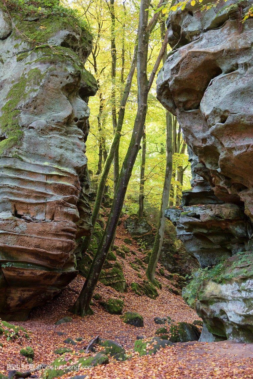 秋天的岩石和森林,德国卢森堡的自然公园,靠近