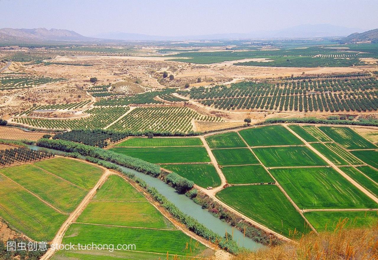 种植场,河段,鸟瞰图。jumilla西班牙穆尔西亚省