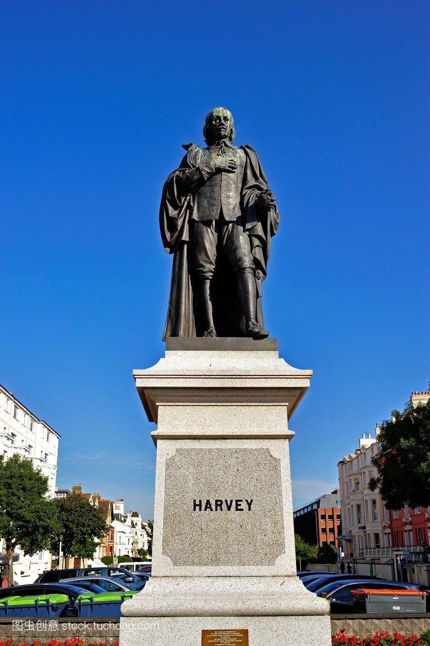 威廉·哈维的雕像,1578-1657年,血液循环的发