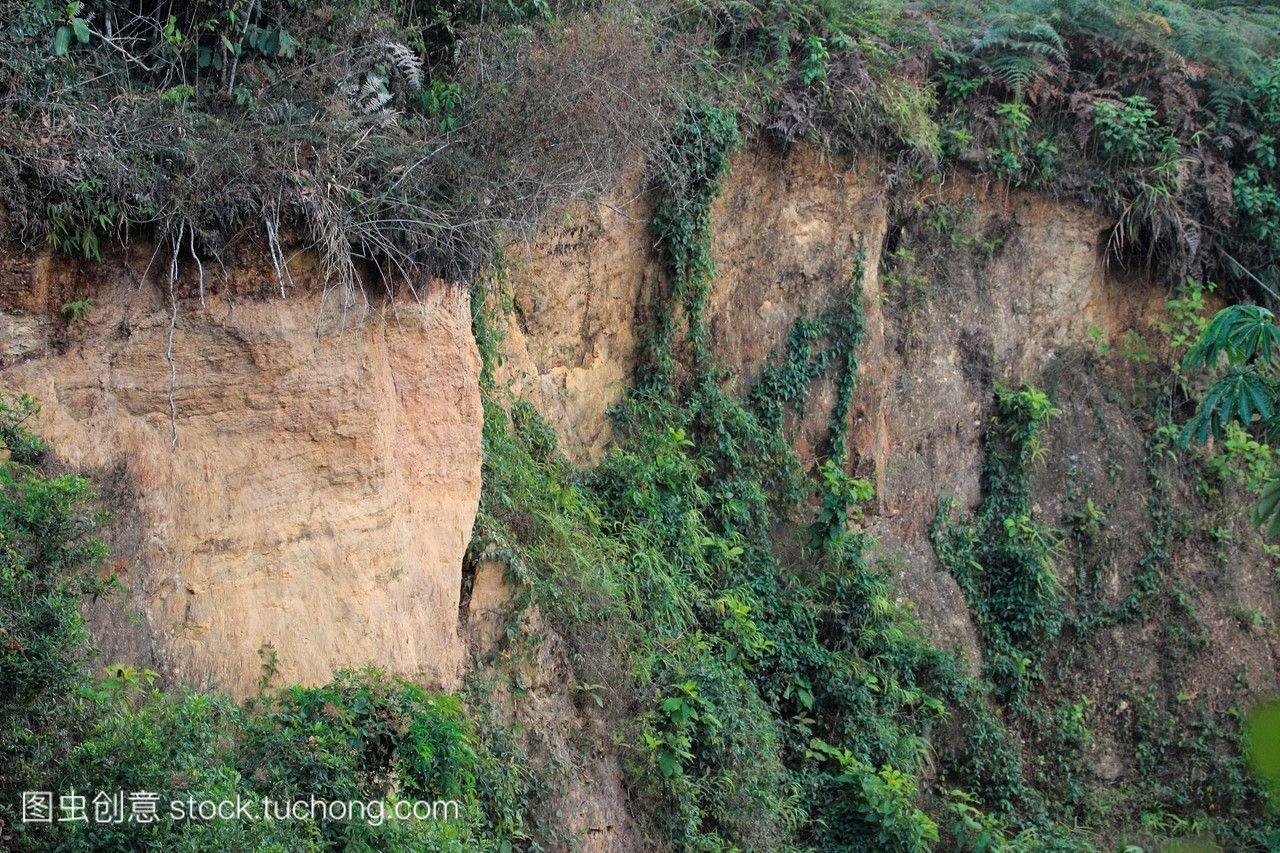 土壤侵蚀和植被,altosdepipe,加拉加斯,委内瑞拉