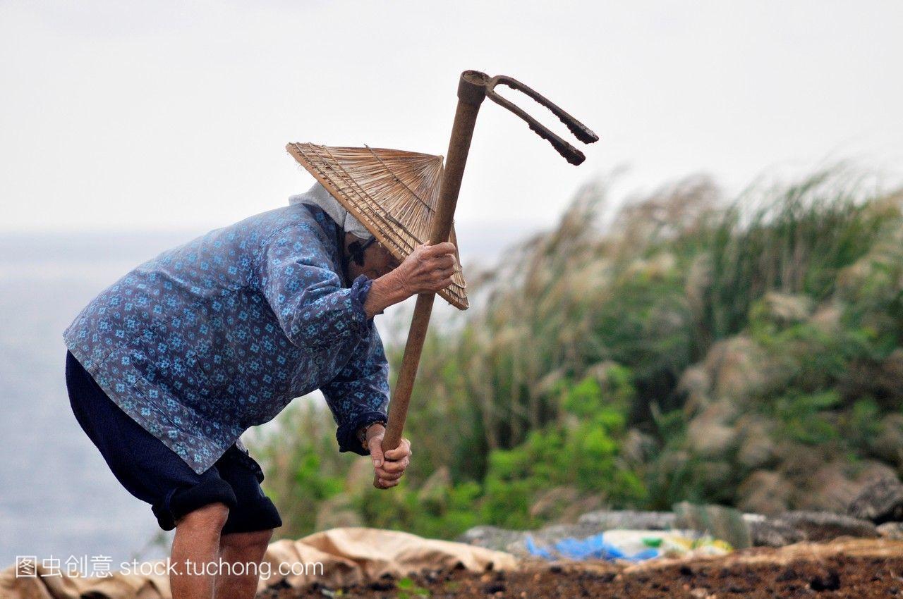 aguni岛日本冲绳一名在田地里工作的老年妇女