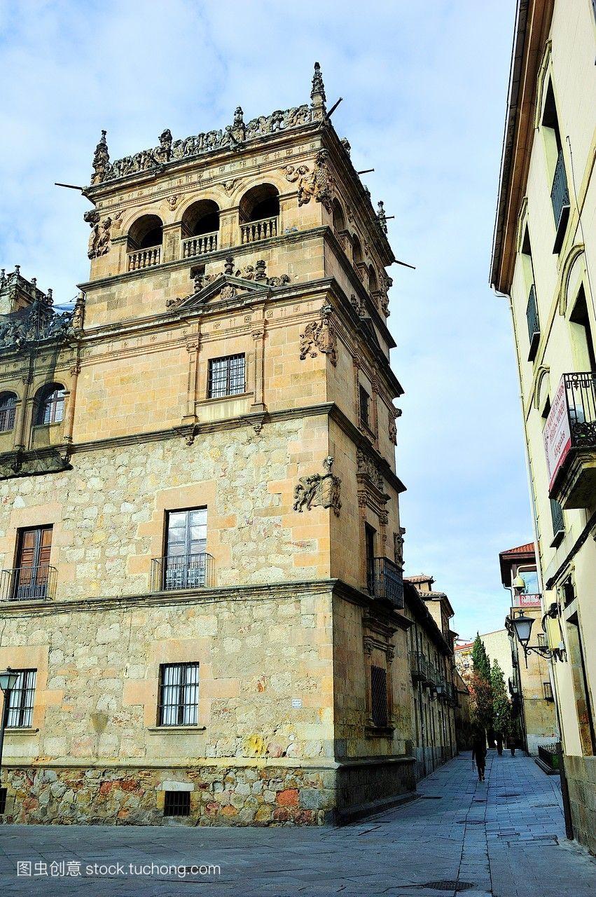 蒙特雷的宫殿十六世纪。西班牙萨拉曼卡