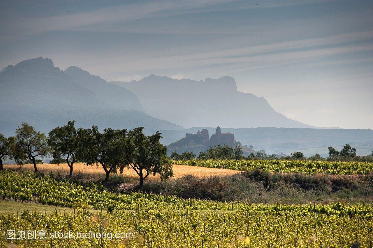 西班牙里奥哈葡萄酒产区的圣维森特葡萄酒产区