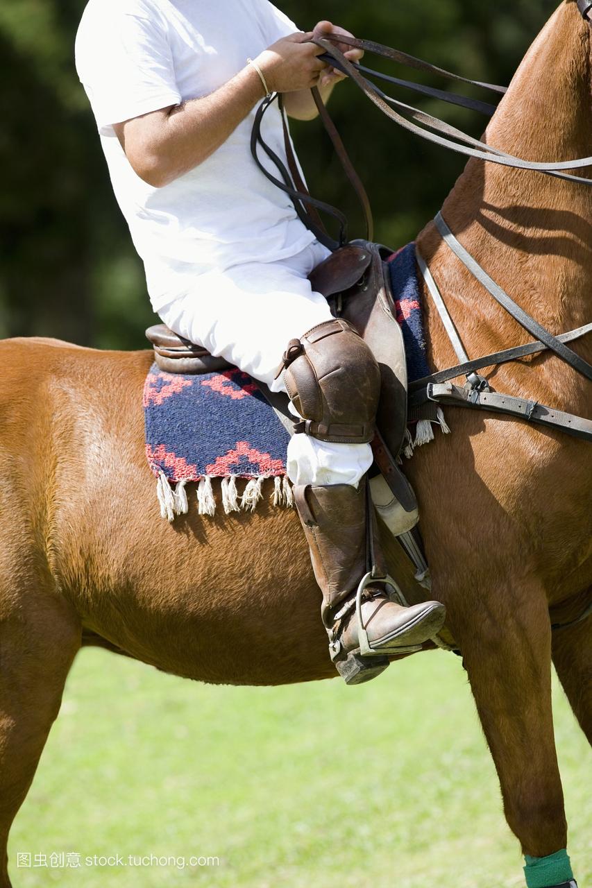 一个人骑着马的低剖视图