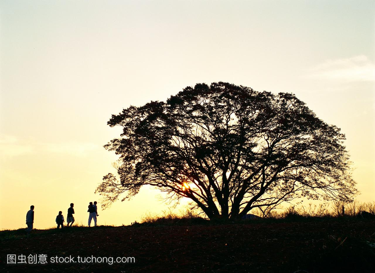 物,风景,黄昏,人,时期,出去,太阳,dusk,picnic,sun