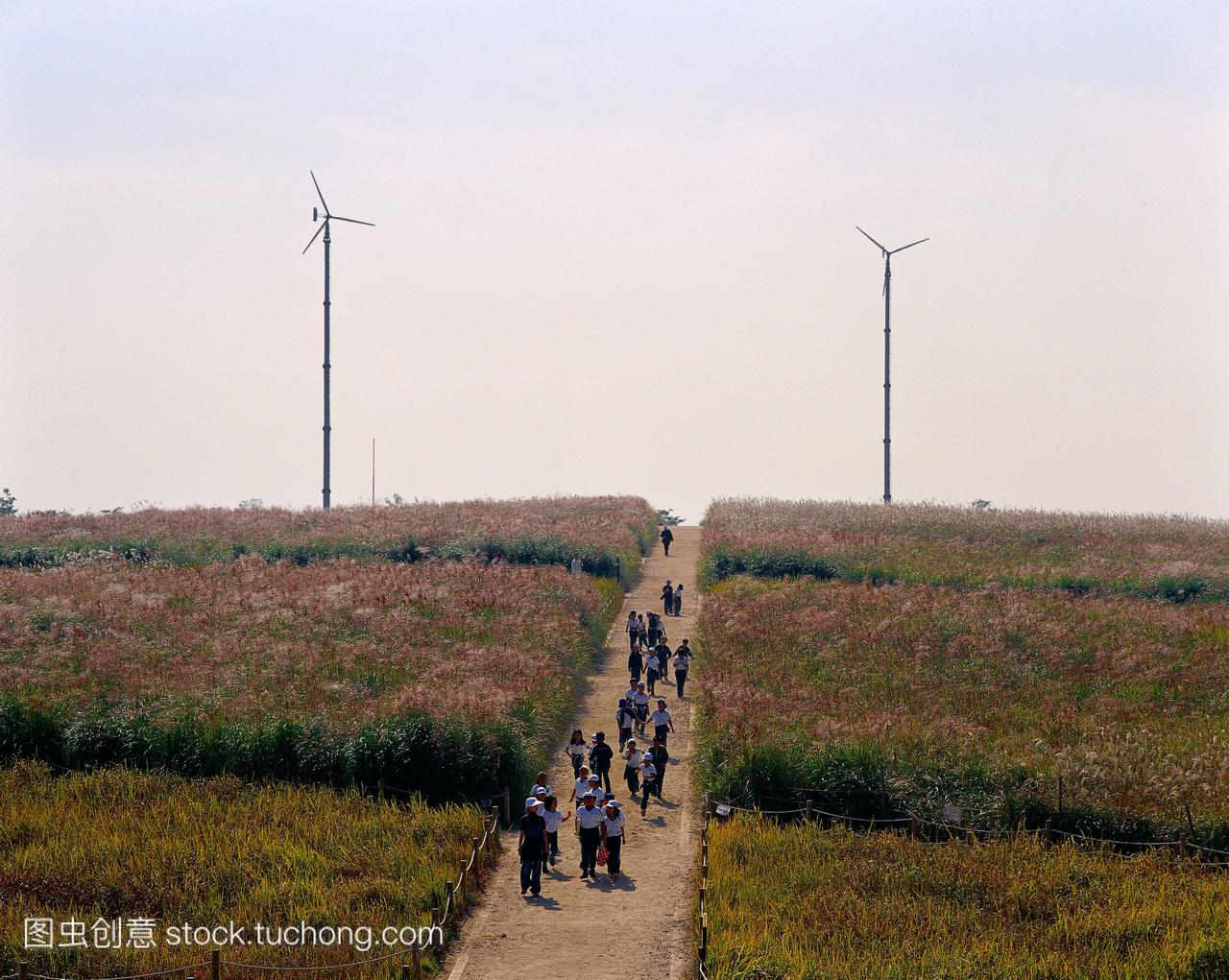 orea,people,郊游,many people,street,picnic,wa