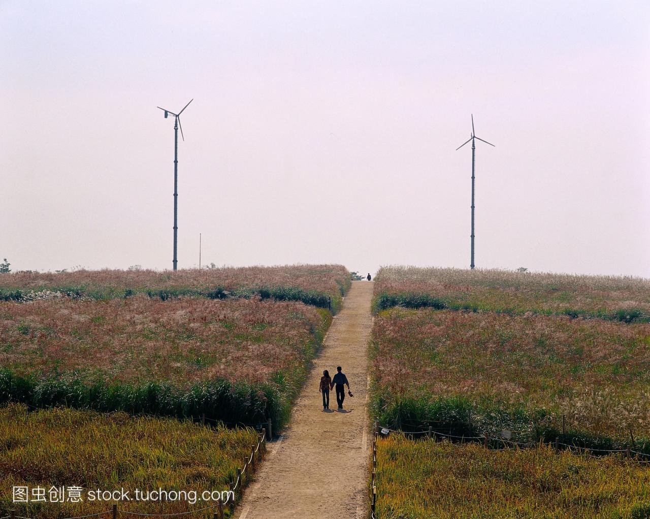 hosun,korea,people,郊游,many people,picnic,P