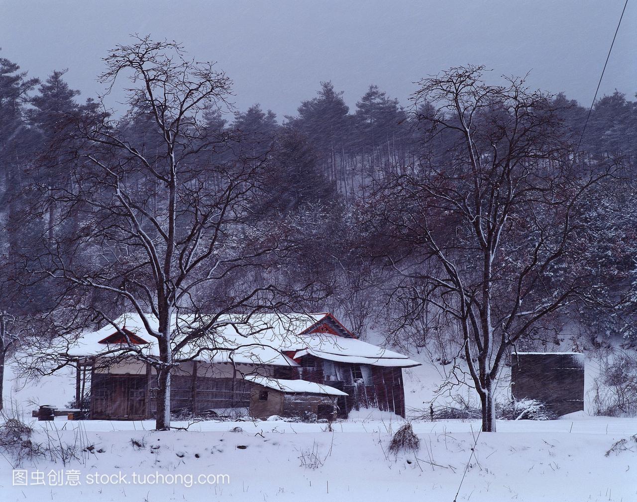 建设,造房子,建筑工,雪景,雪,朝鲜,哥特式,停学,雪