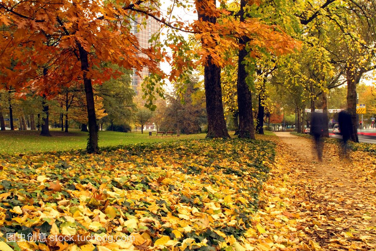 落叶,自然风光,公园,叶,草地,散步,慢步,人物,叶子